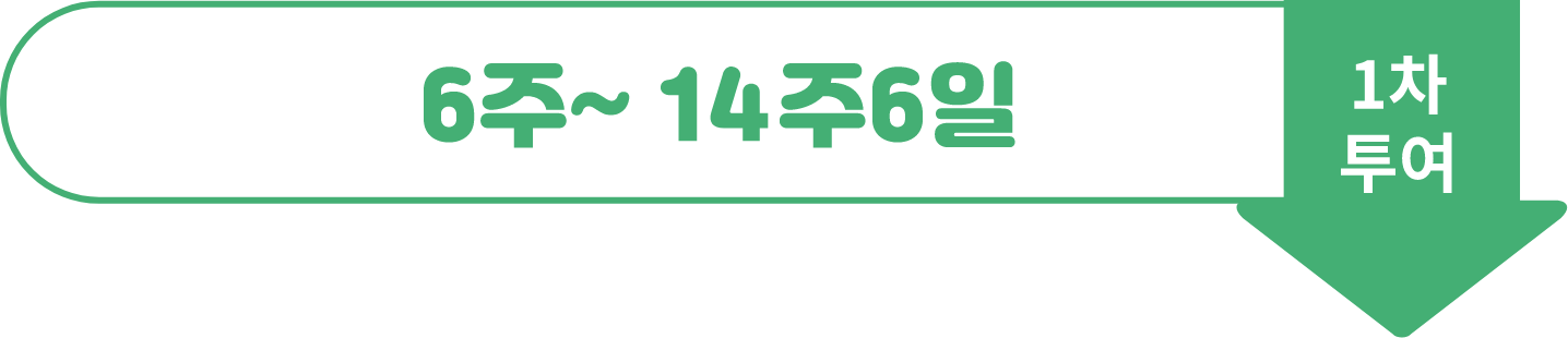 Image_FAQ_#3Q3_NIP 접종 일정